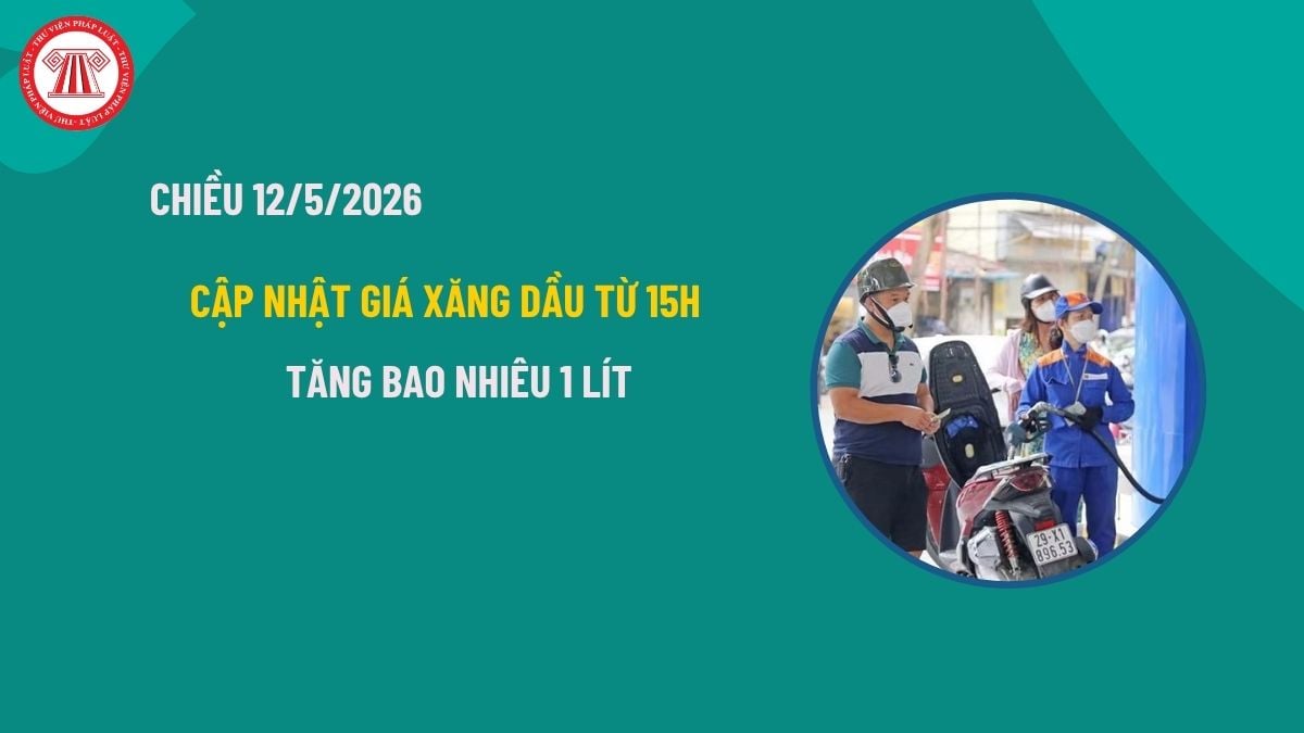Pháp luật