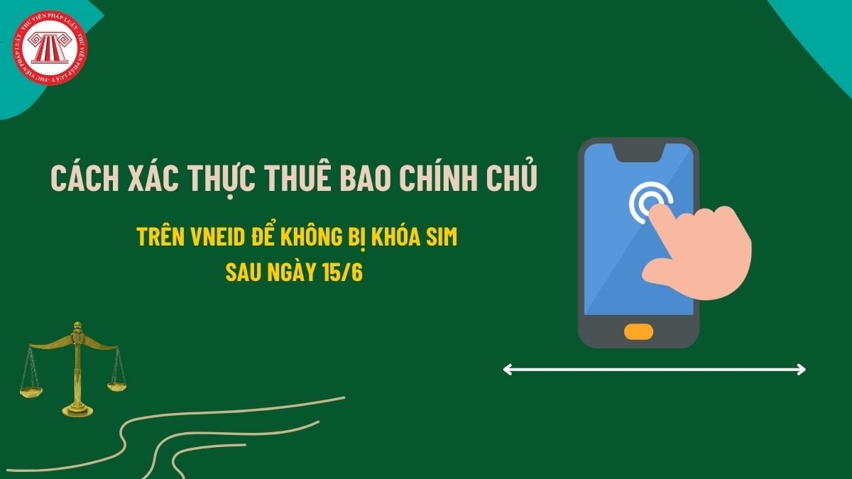 Pháp luật