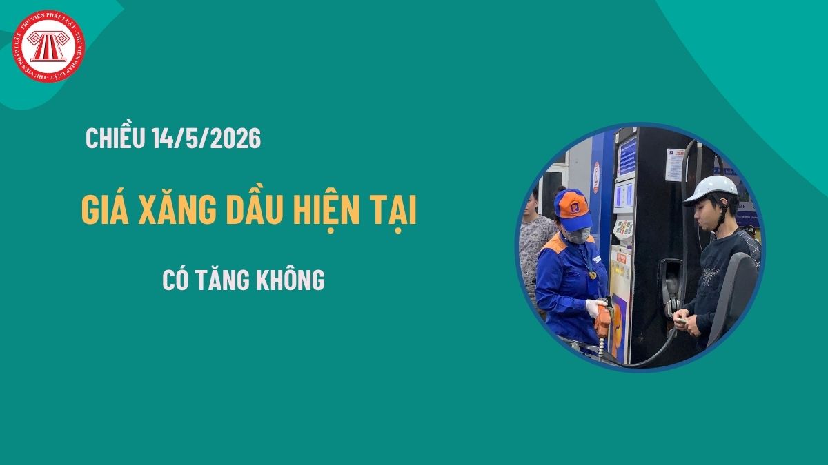 Pháp luật