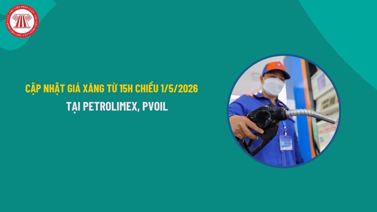 Pháp luật