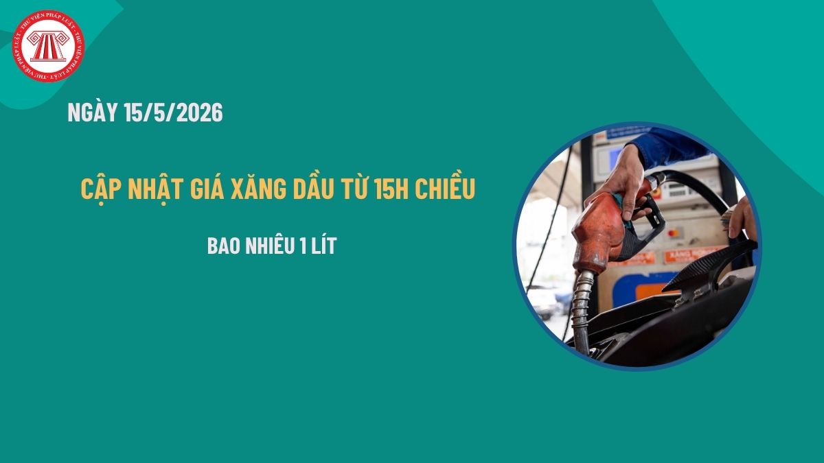Pháp luật