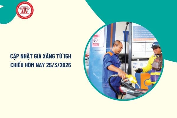 Pháp luật