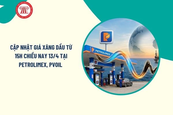 Pháp luật