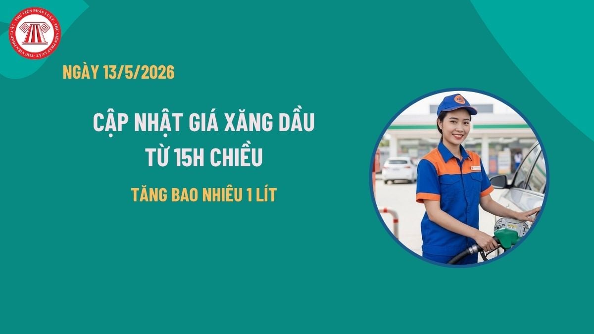 Pháp luật
