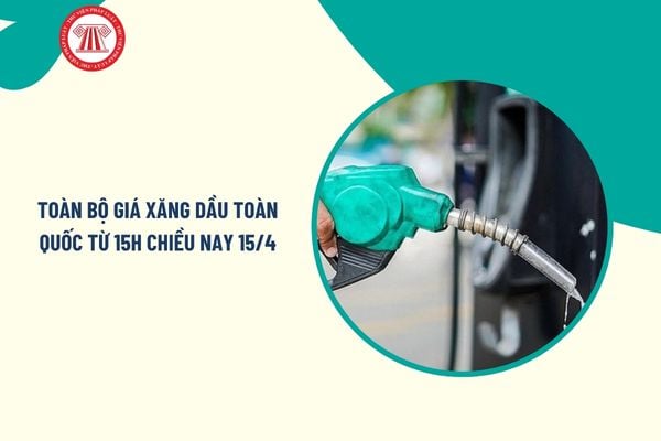 Pháp luật
