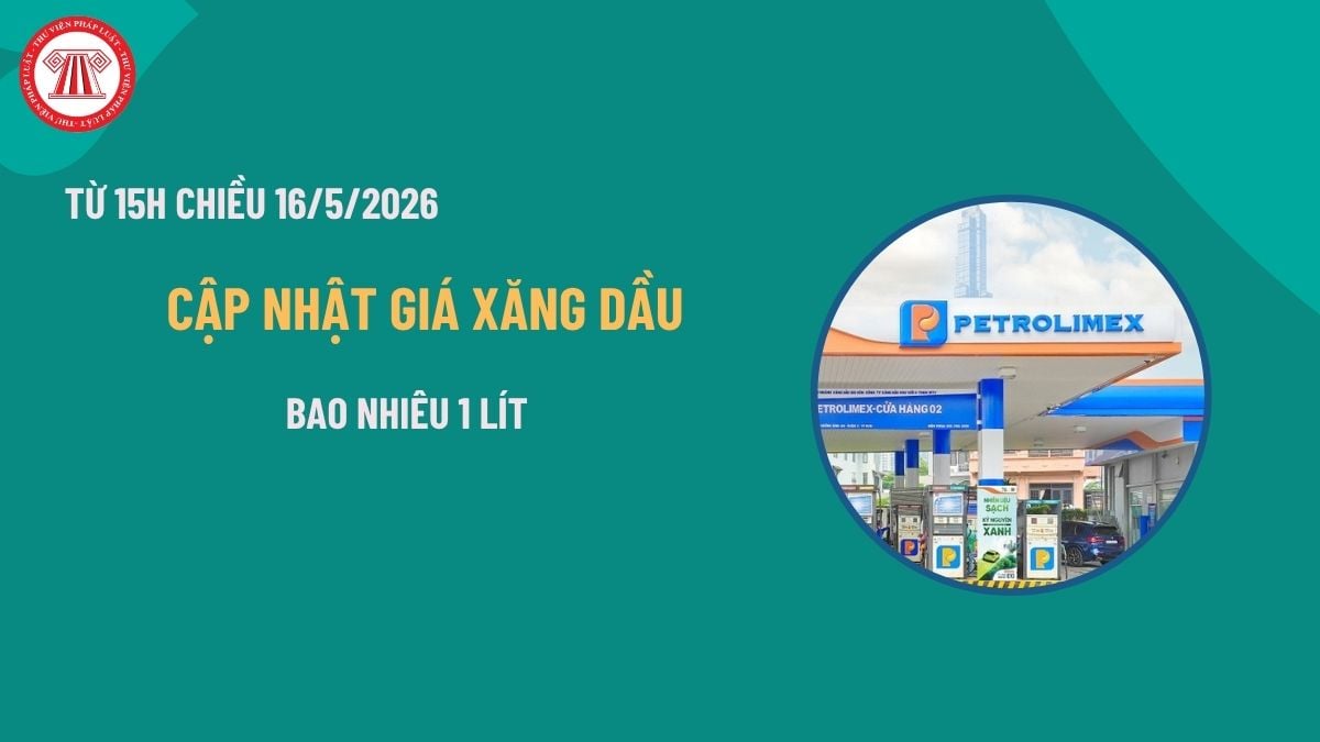 Pháp luật
