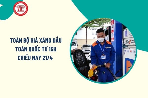 Pháp luật