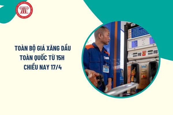 Pháp luật