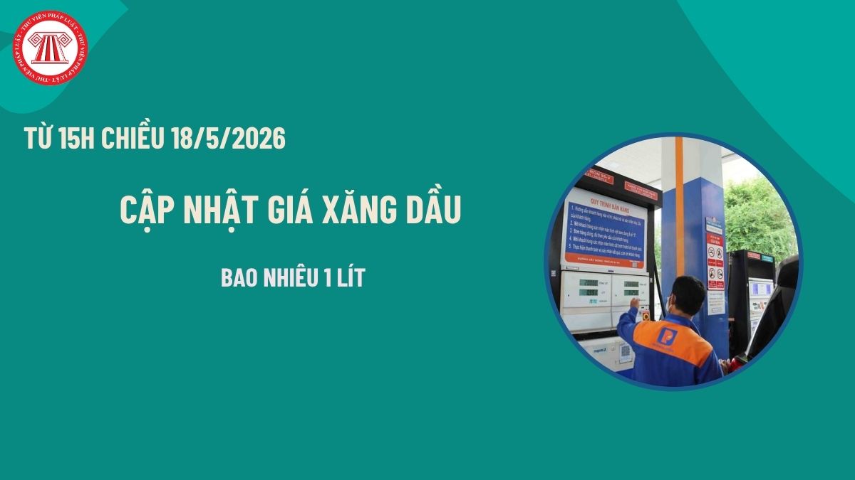 Pháp luật
