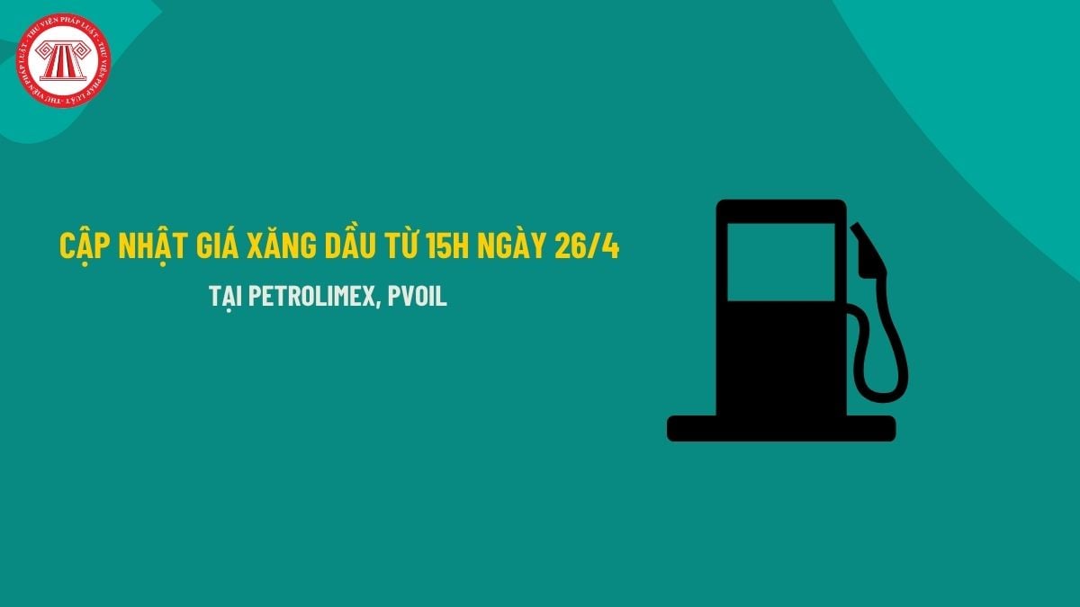 Pháp luật
