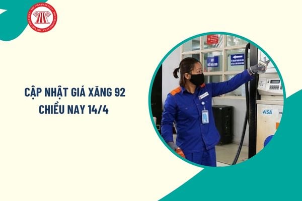 Pháp luật