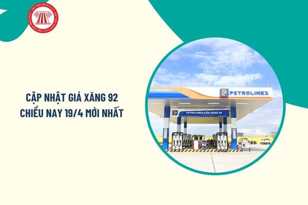 Pháp luật