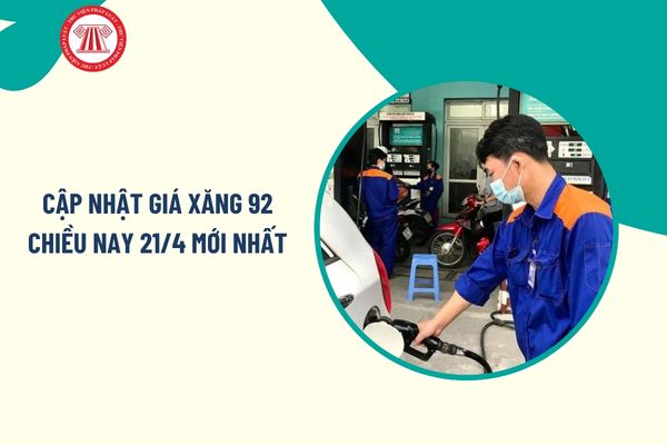 Pháp luật