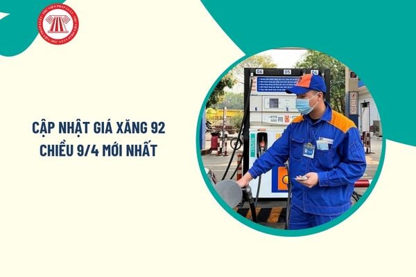 Pháp luật