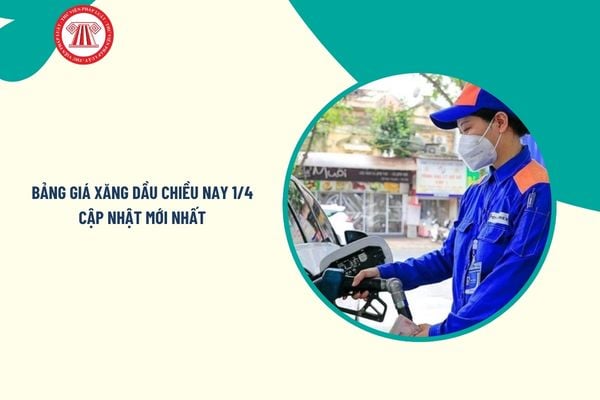 Pháp luật