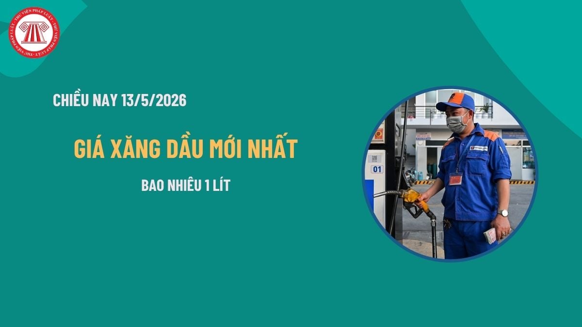 Pháp luật