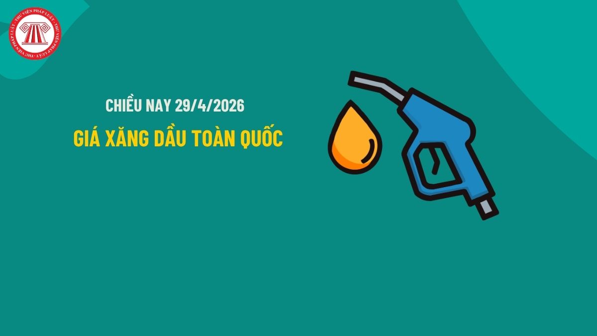 Pháp luật