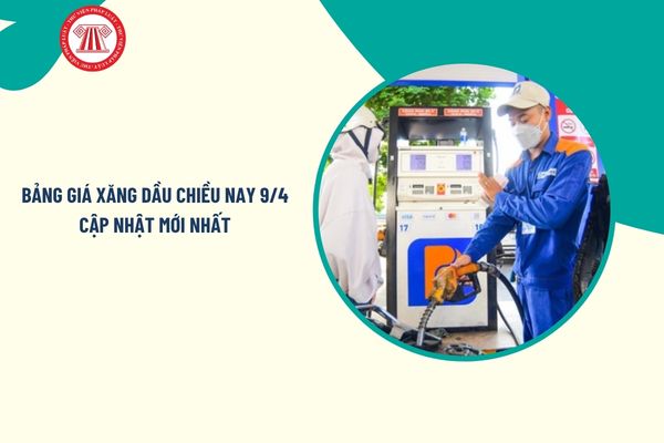 Pháp luật
