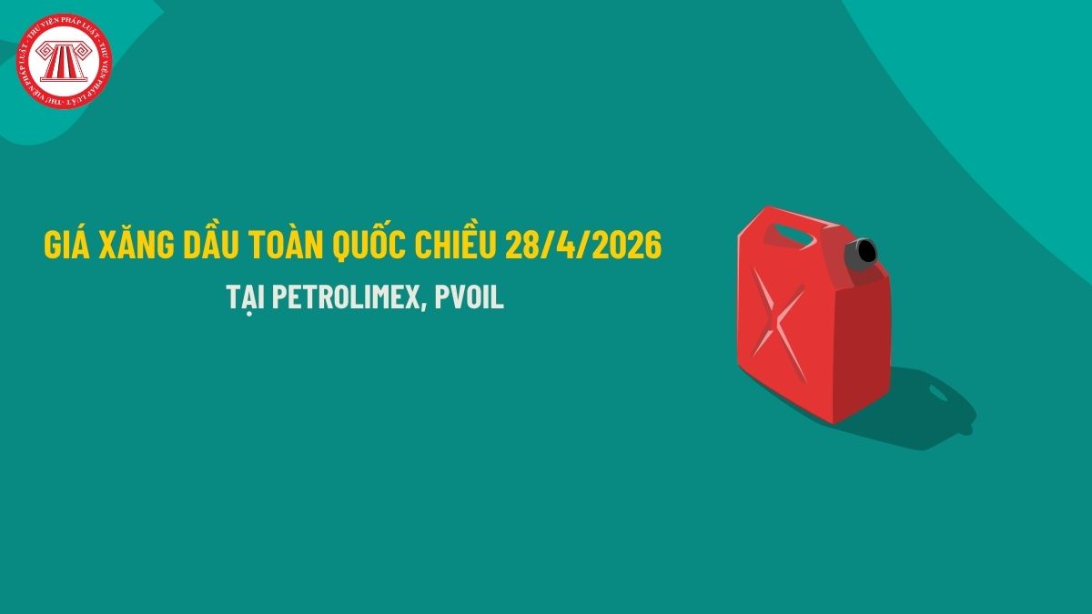 Pháp luật
