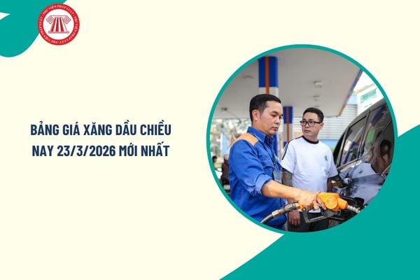 Pháp luật