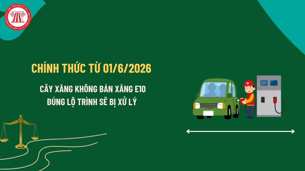 Pháp luật