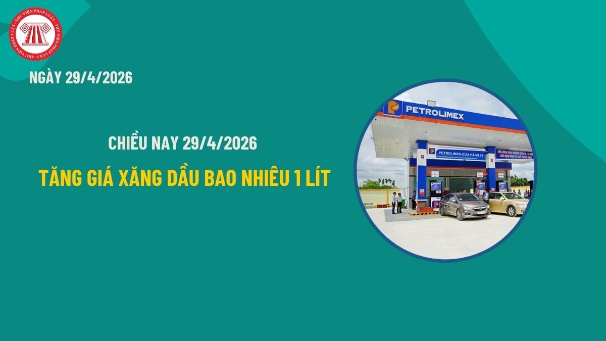 Pháp luật