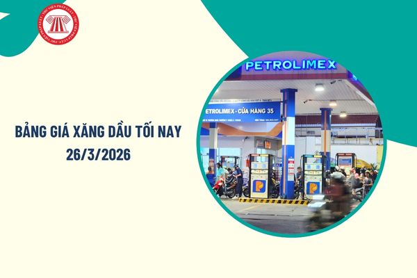 Pháp luật