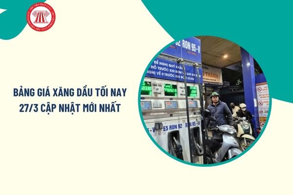 Pháp luật