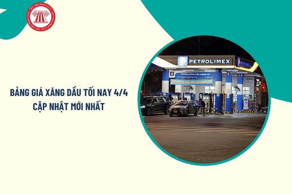 Pháp luật