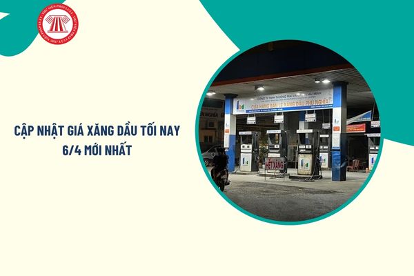 Pháp luật