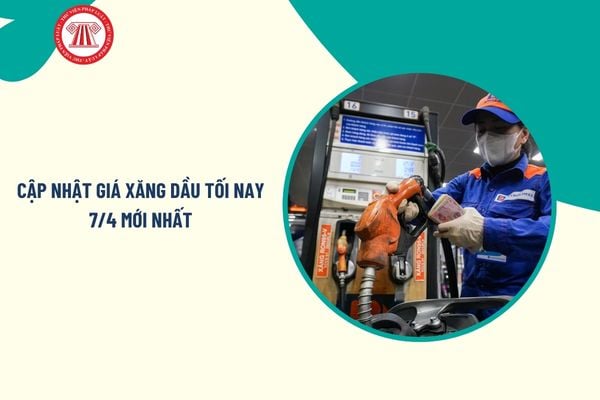 Pháp luật
