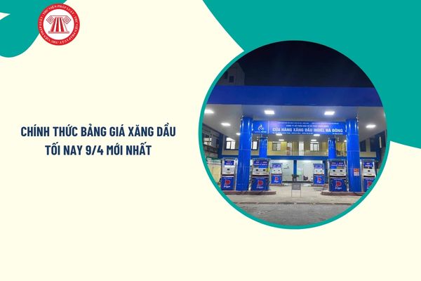 Pháp luật
