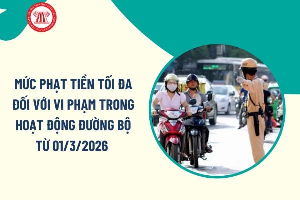 Pháp luật