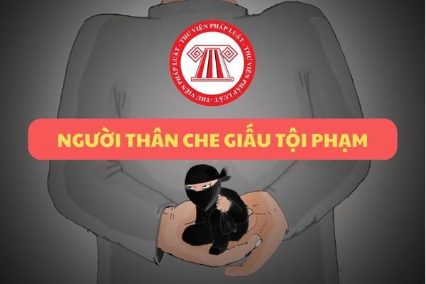 Pháp luật
