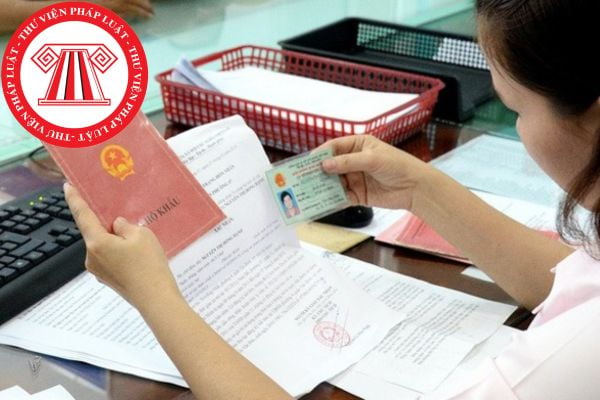 Pháp luật