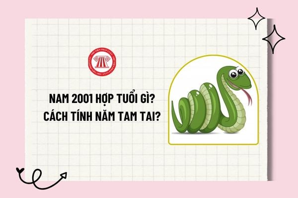 Nam 2001 hợp tuổi gì? Nam sinh năm 2001 hợp tuổi nào để kết hôn? Nam sinh năm 2001 thuộc mệnh gì