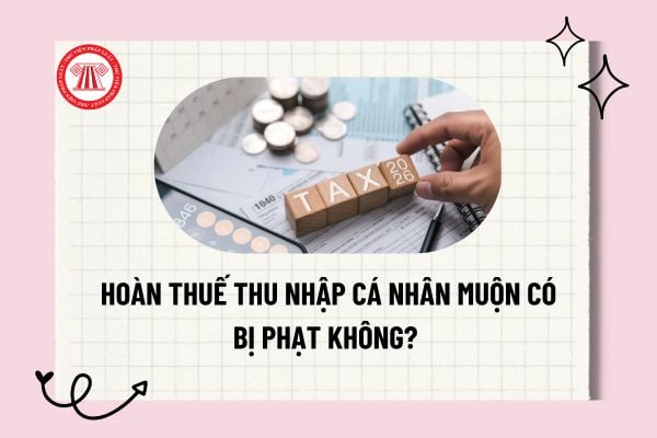 Pháp luật