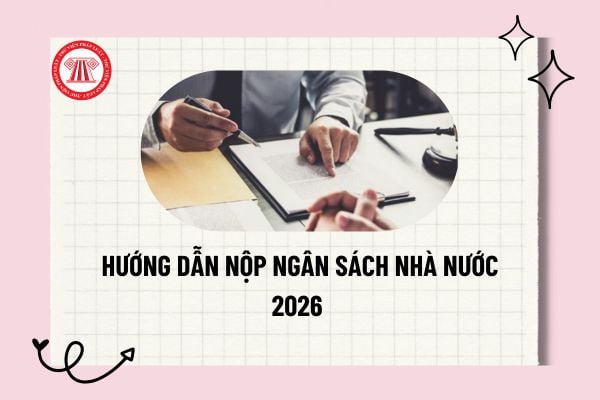 Pháp luật