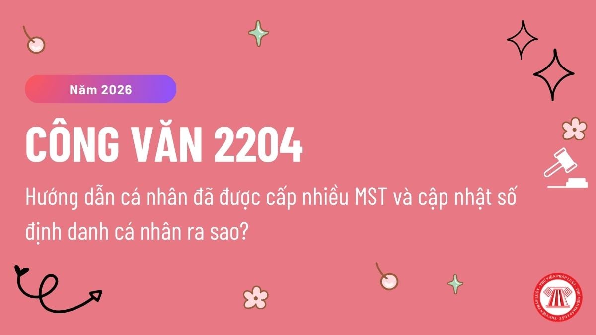Pháp luật