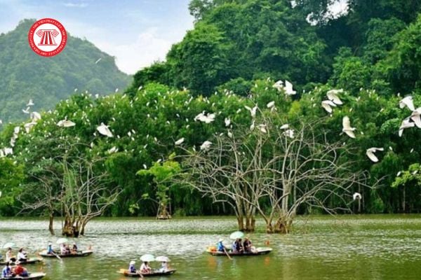 Trong trong phân khu phục hồi sinh thái của khu bảo tồn biển và vùng đệm bao gồm những hoạt động nào?