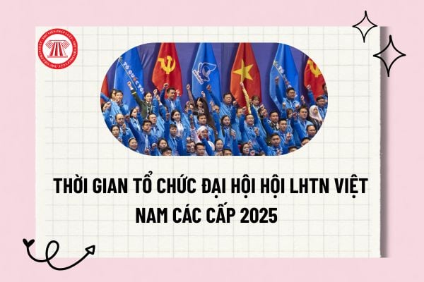 Pháp luật