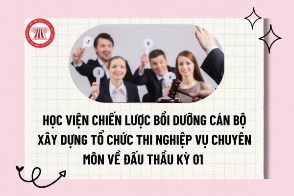 Pháp luật