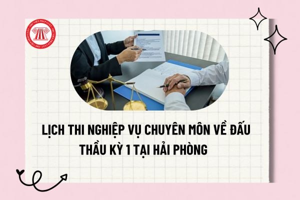 Pháp luật