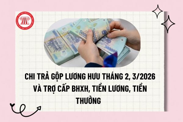 Pháp luật