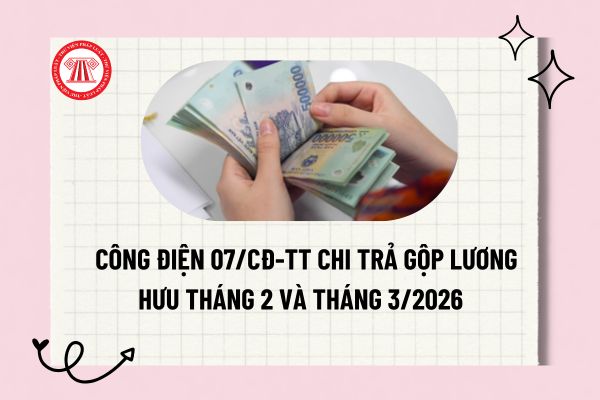 Pháp luật