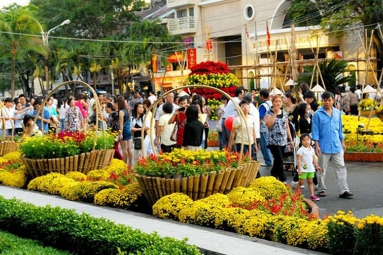 Pháp luật