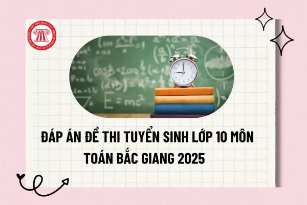 Pháp luật