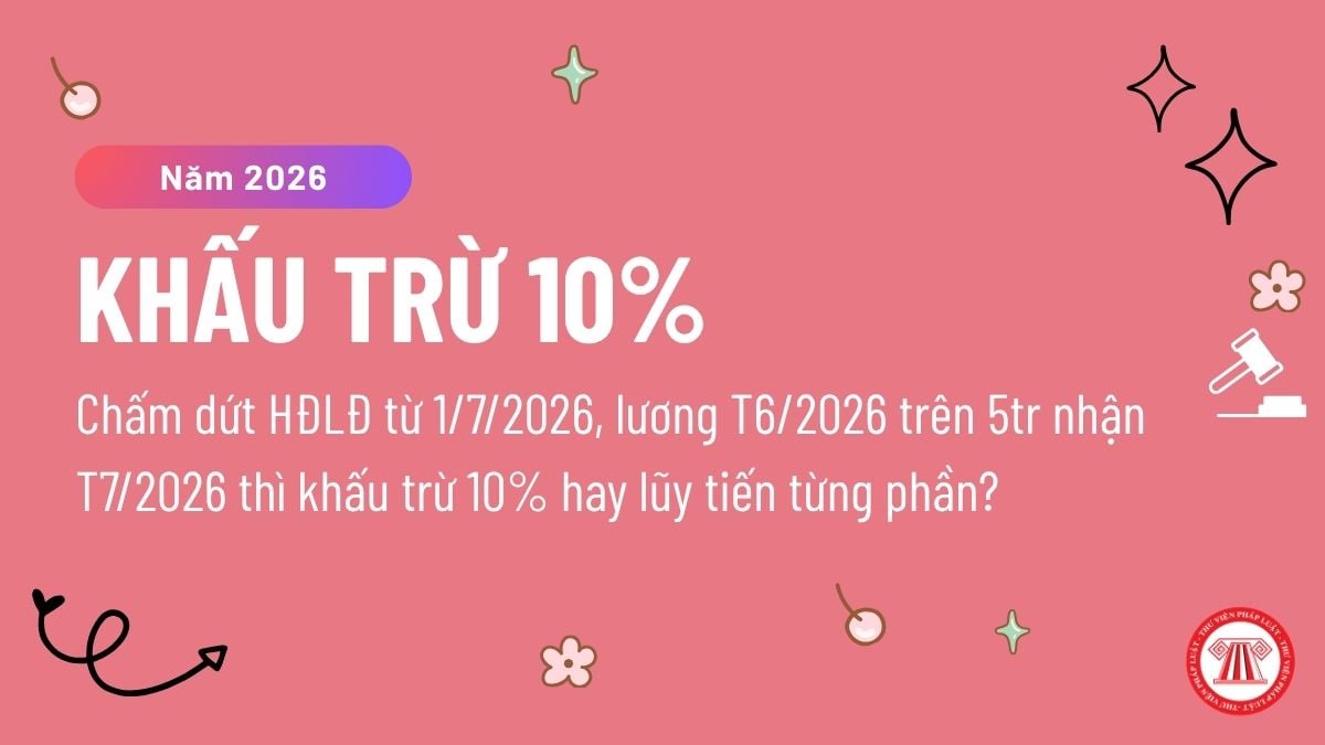 Pháp luật