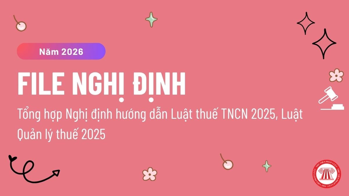 Pháp luật