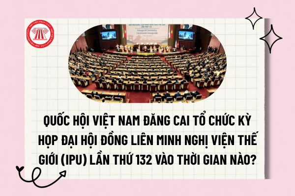 Pháp luật